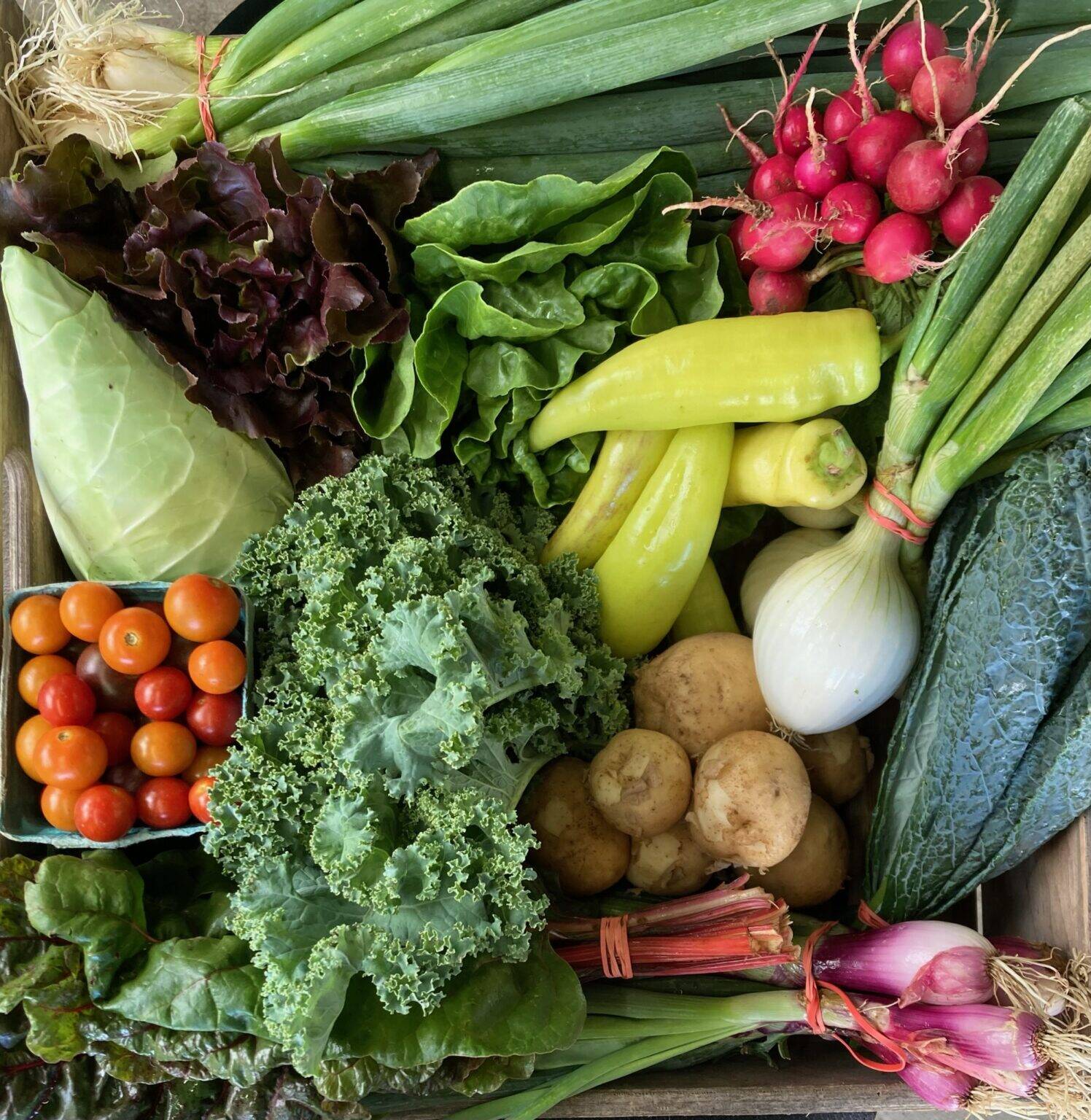 Supporting Local: Partnership with Kentucky Farms